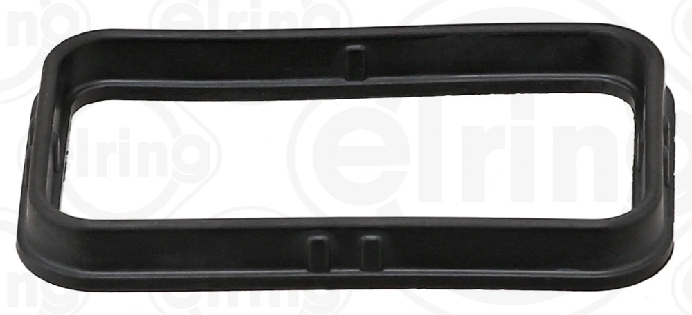 Gasket, oil cooler