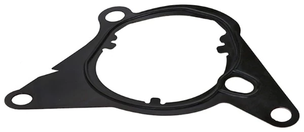 Gasket, vacuum pump