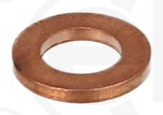Seal Ring, nozzle holder