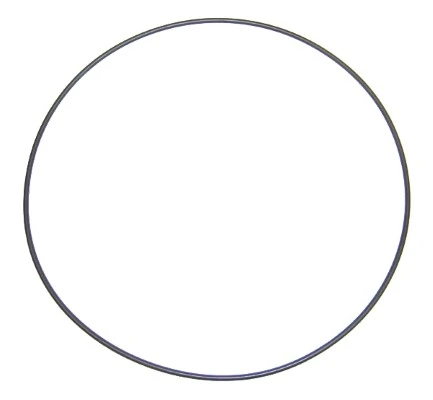 Seal Ring