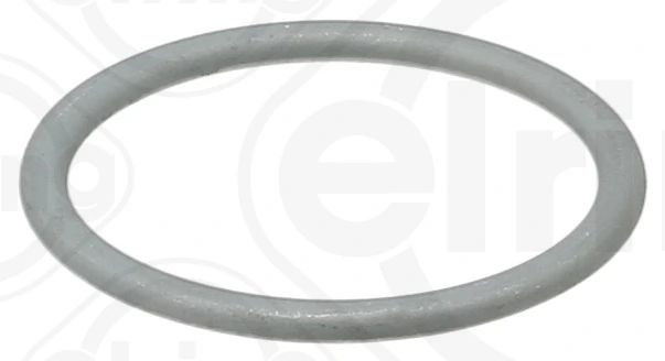 Seal Ring