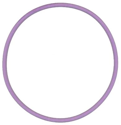 Seal Ring