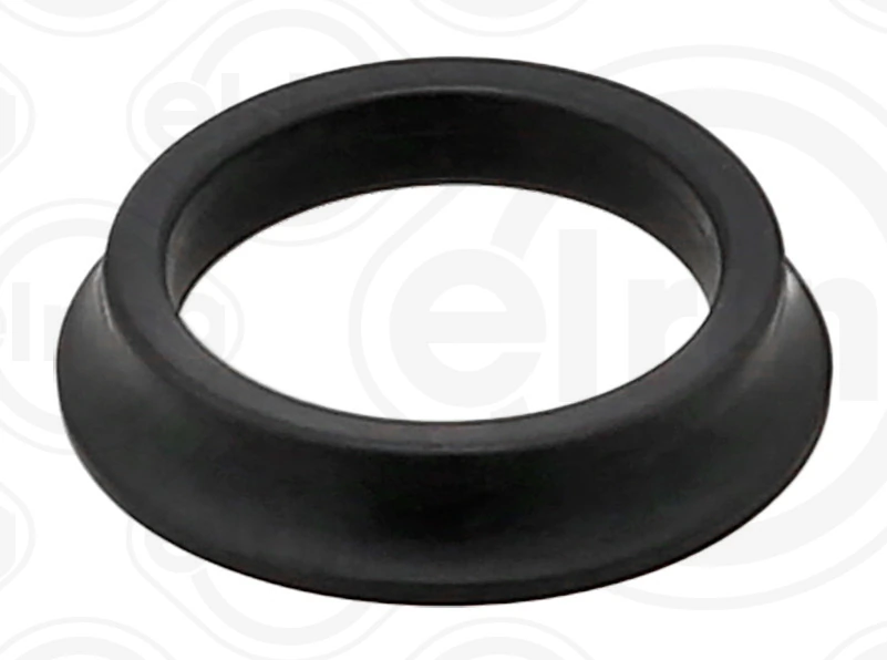 Seal Ring, injector