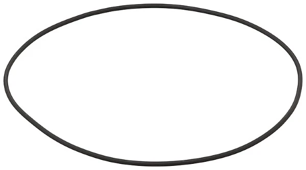 Seal Ring