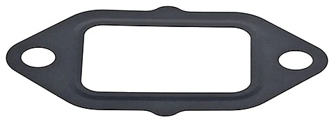 Gasket, EGR valve