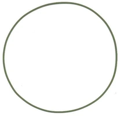 Seal Ring