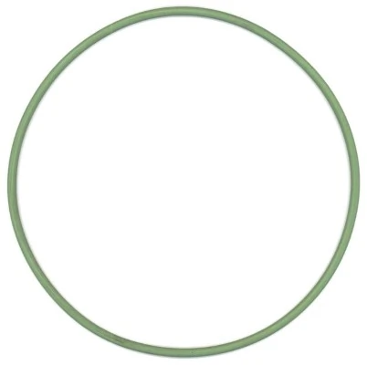 Seal Ring