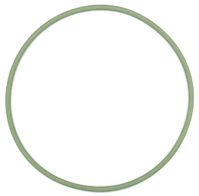 Seal Ring