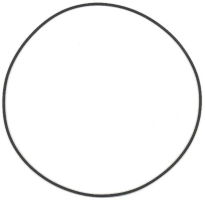 Seal Ring