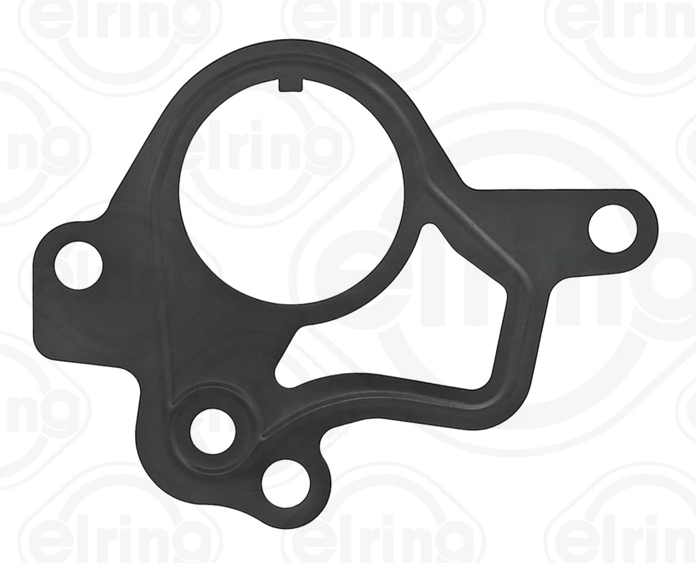 Gasket, vacuum pump