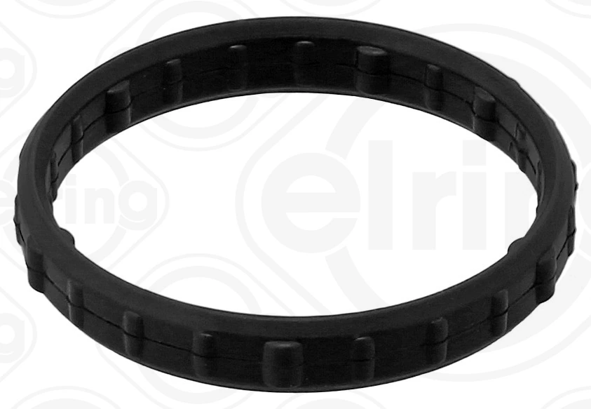Gasket, timing case