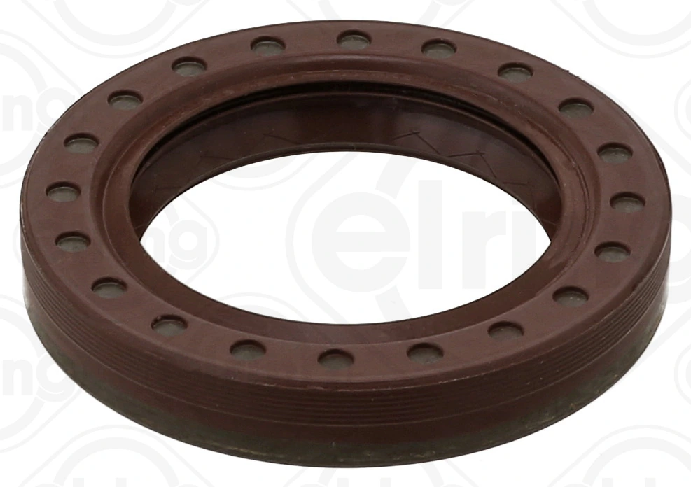 Shaft Seal, differential