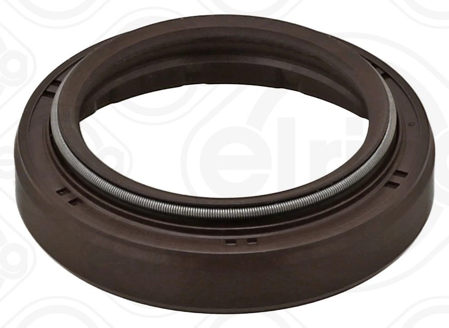 Shaft Seal, differential