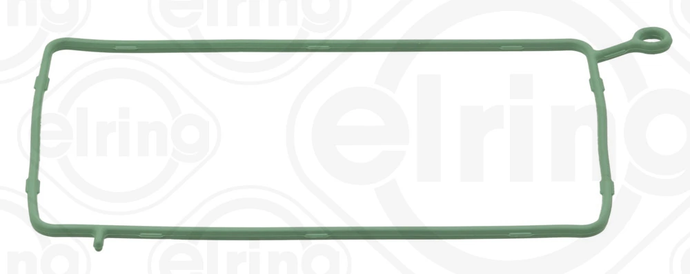 Gasket, timing case cover