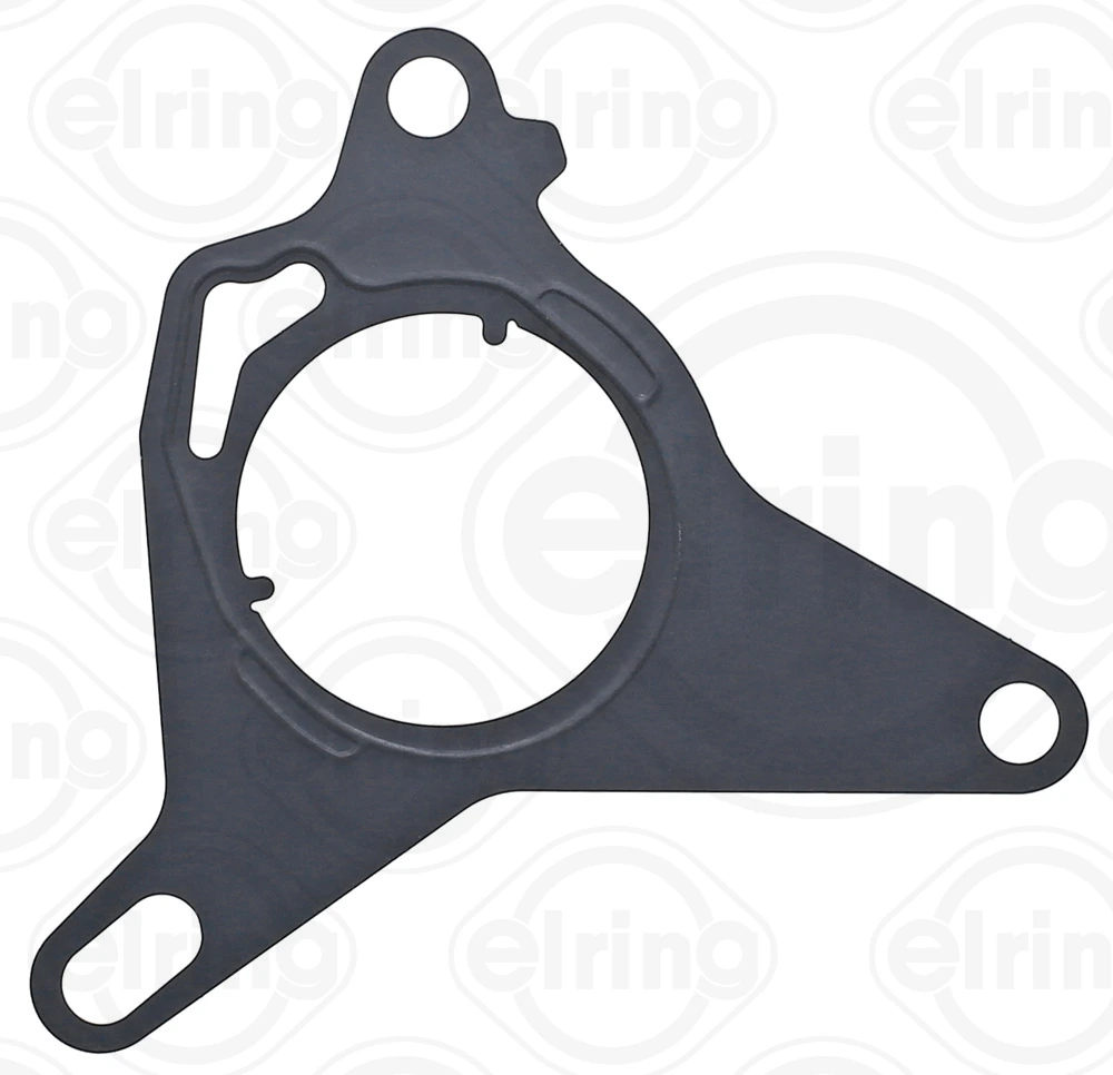 Gasket, vacuum pump