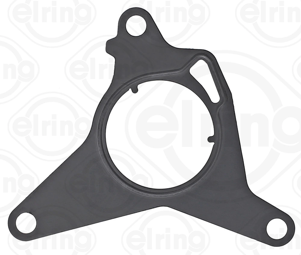 Gasket, vacuum pump