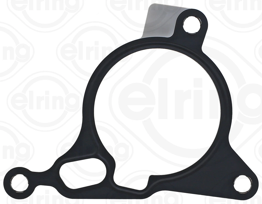 Gasket, vacuum pump