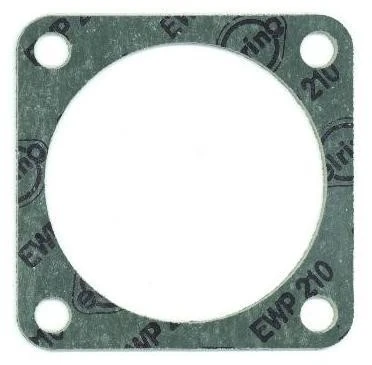 Gasket, coolant flange