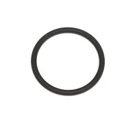 Seal Ring