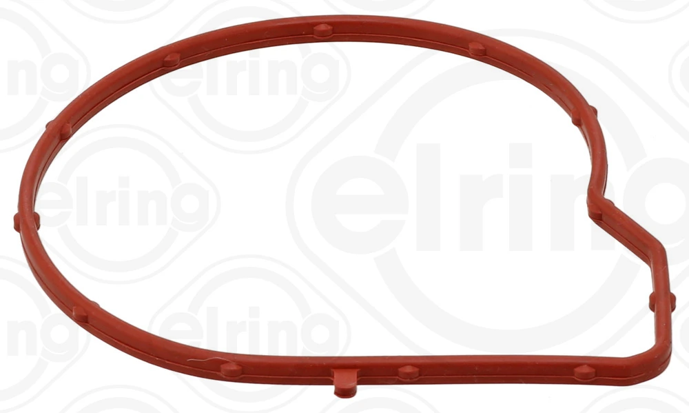 Gasket, water pump
