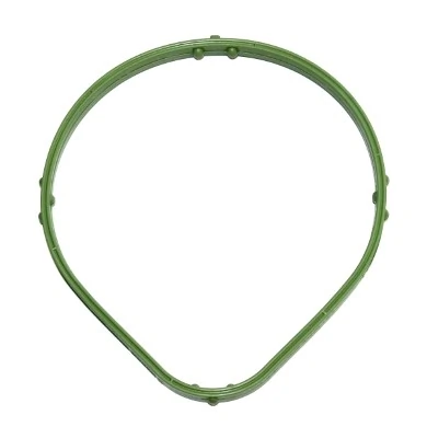 Gasket, crankcase ventilation