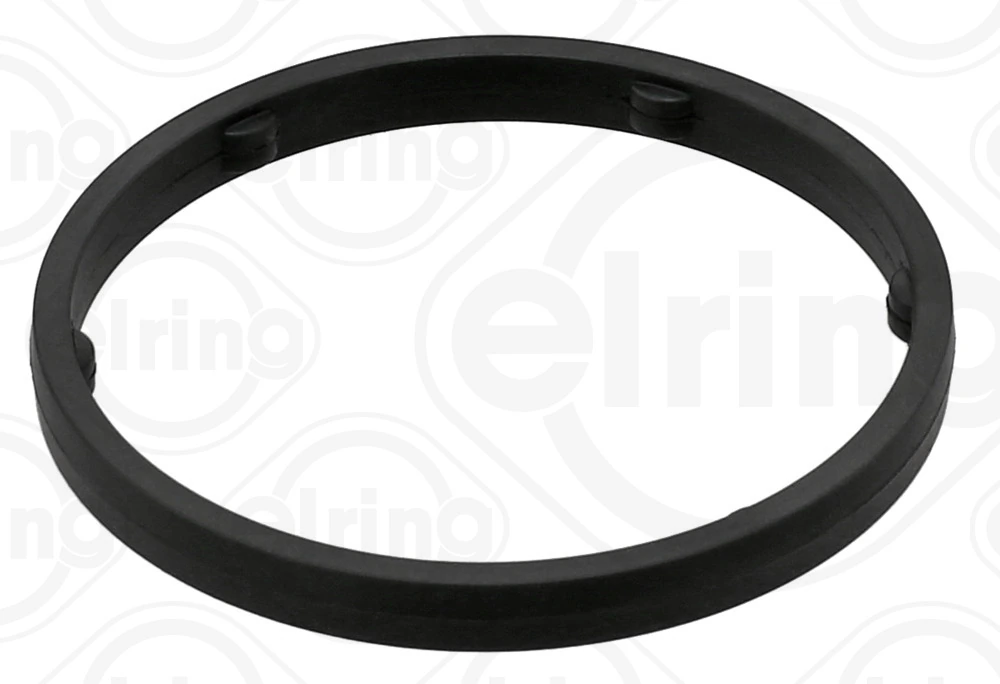 Gasket, thermostat housing