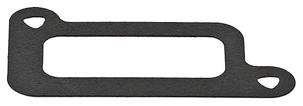 Gasket, coolant flange