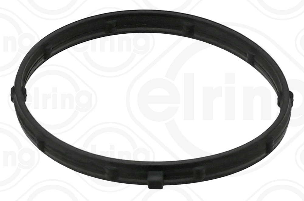 Gasket, vacuum pump