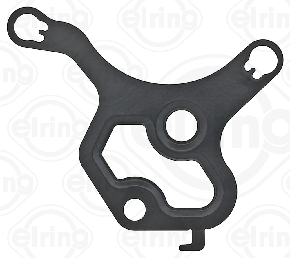 Gasket, vacuum pump