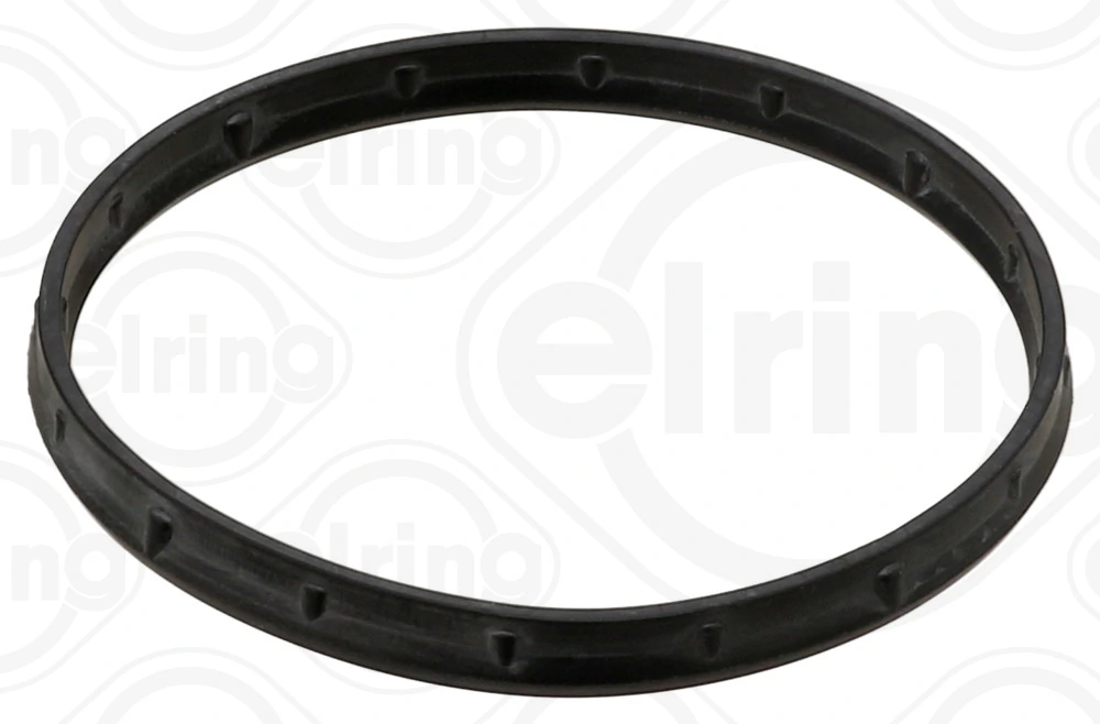 Gasket, oil cooler
