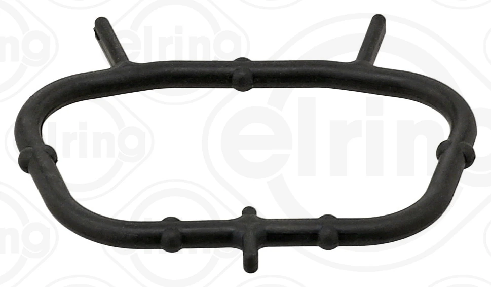 Gasket, coolant flange