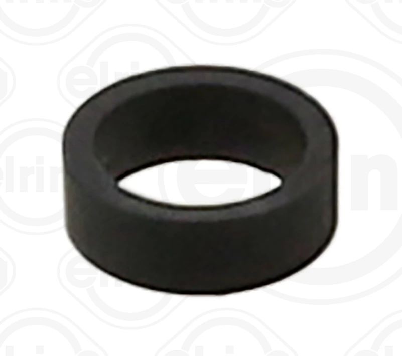 Seal Ring, injector