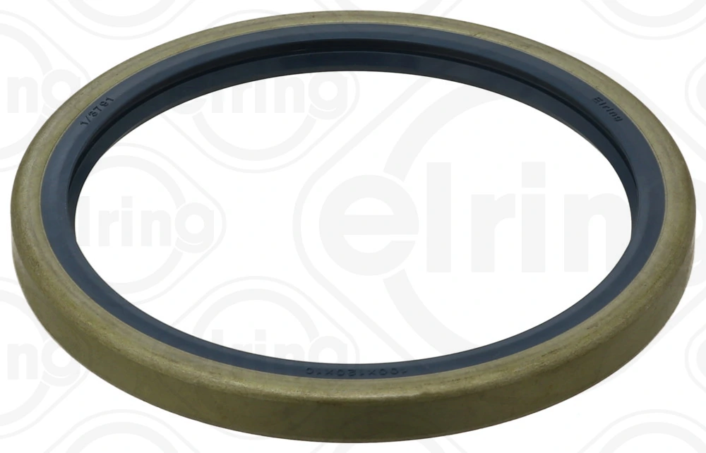 Shaft Seal, differential