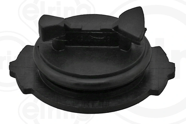 Screw Plug, automatic transmission casing