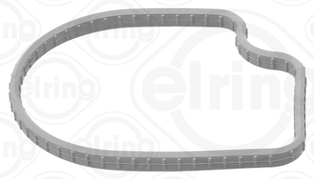 Gasket, thermostat housing