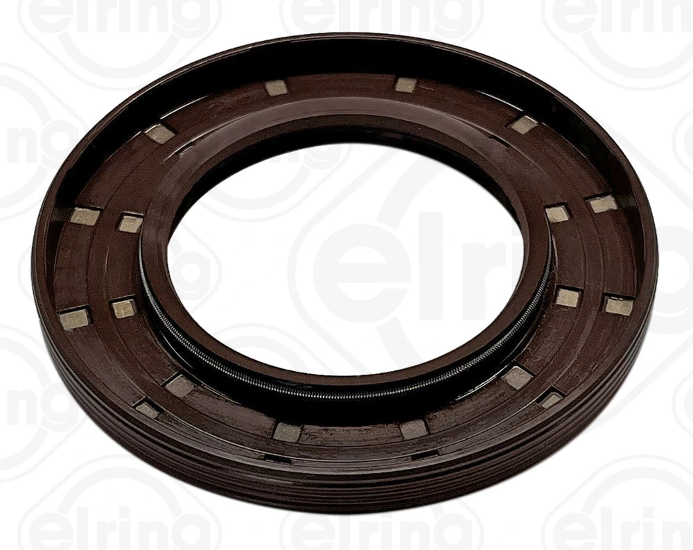 Shaft Seal, differential