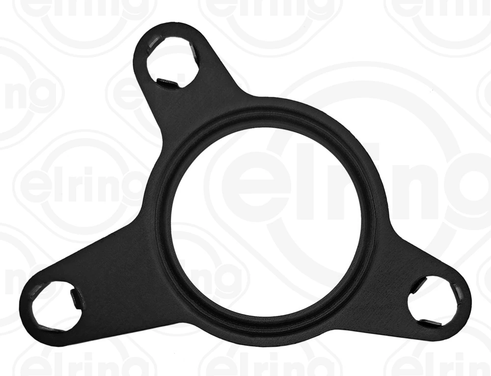 Gasket, EGR valve