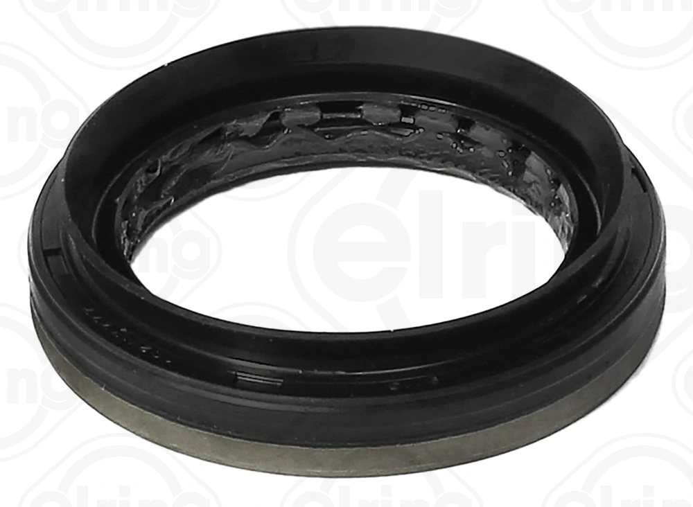 Shaft Seal, differential