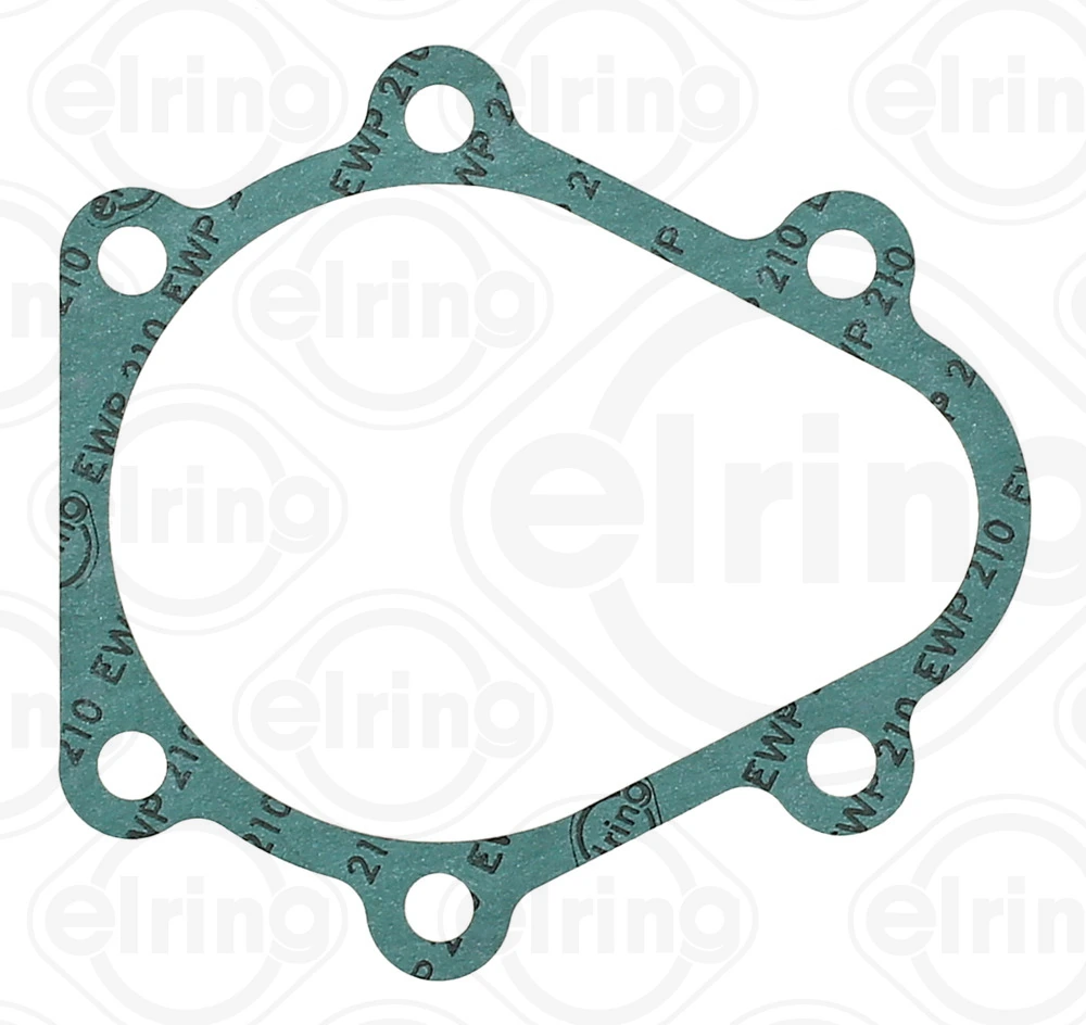 Gasket, differential