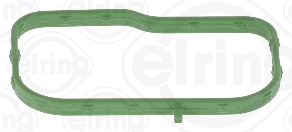 Gasket, intake manifold
