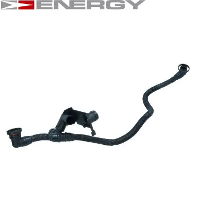 Hose, cylinder head cover ventilation