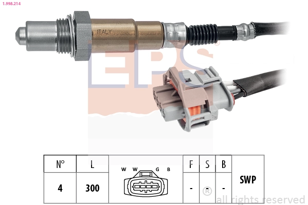 Oxygen Sensor
