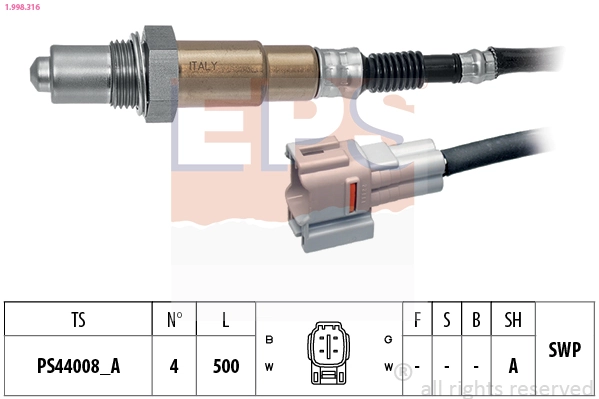 Oxygen Sensor