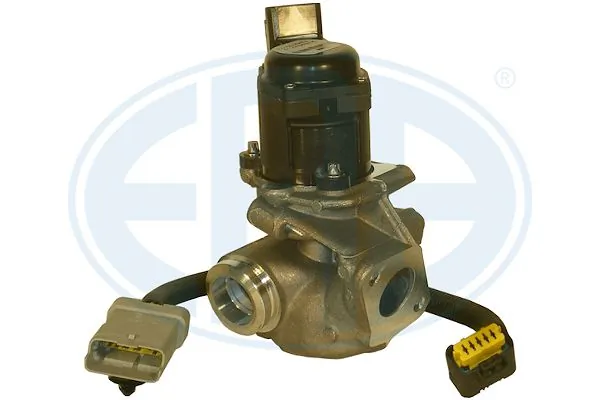 EGR Valve
