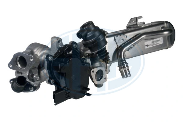 EGR Module
