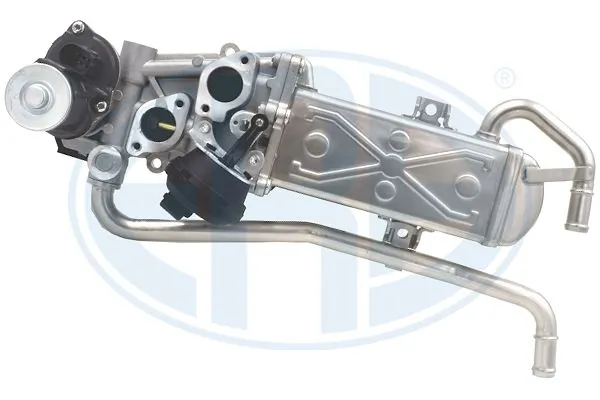 EGR Module