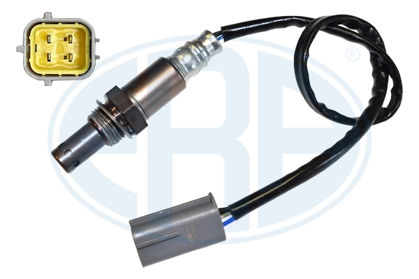 Oxygen Sensor