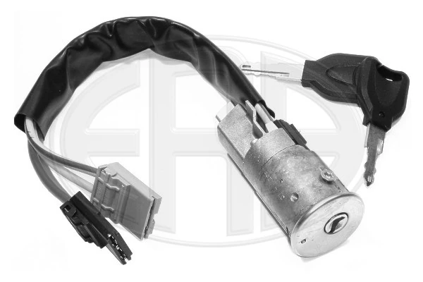 Steering Lock