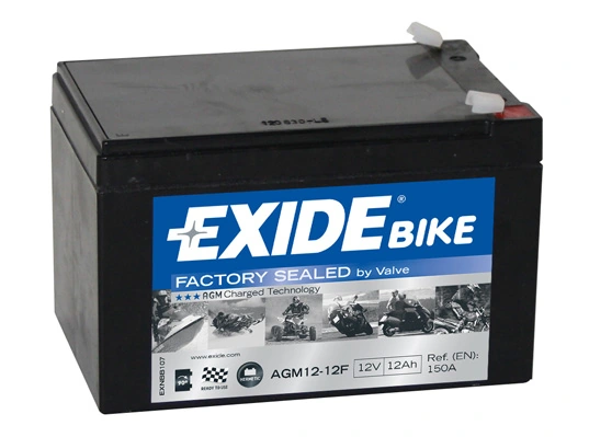 Starter Battery