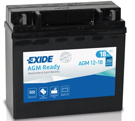 Starter Battery